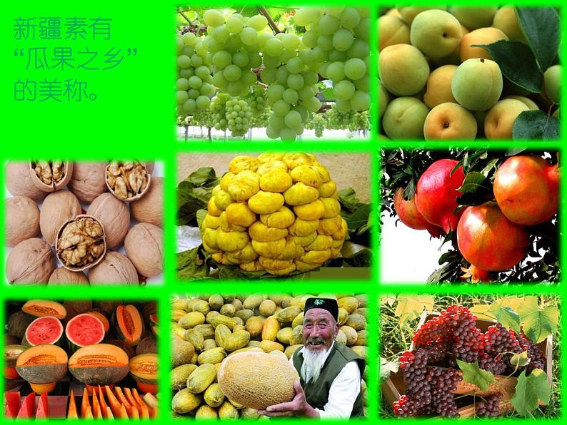 初中音乐-青春舞曲-课件-(1)PPT课件第5页