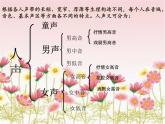 初中音乐--我的太阳-伏尔加船夫曲--(2)pptppt课件