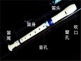 初中音樂(lè)--學(xué)吹豎笛--(2)pptppt課件