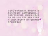 初中音樂--小夜曲pptppt課件