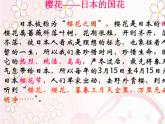 初中音乐-樱花-课件-(3)PPT课件