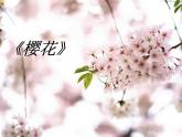 初中音乐-樱花-课件PPT课件