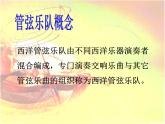 初中音乐-人教版 七年级上册-管弦乐队-pptppt课件