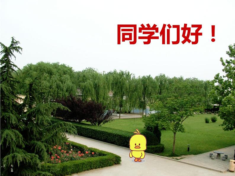 天山之音(欣赏)课件PPT01