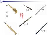 湘教版 七年级下册音乐 第2单元 青少年管弦乐队指南   野蜂飞舞　 课件 (共21张PPT）
