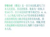 人音版八年級(jí)下冊(cè) 第四單元 亞洲弦歌 演唱 ☆櫻花課件