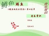 人音版八年级下册第二单元乐海泛舟   ☆A大调（鳟鱼）钢琴五重奏（第四乐章）课件PPT