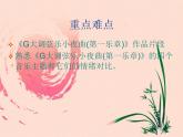 人音版八年级下册第二单元乐海泛舟  ☆G大调弦乐小夜曲（第一乐章） 课件 (2)