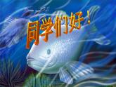 初中八年级下册音乐课件第二单元欣赏A大调(鳟鱼)(28张)ppt课件