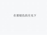 初中人音版音乐七年级下册.第三单元欣赏在那银色的月光下歌唱吧-我的库木孜阳光照耀着塔什库尔干课件