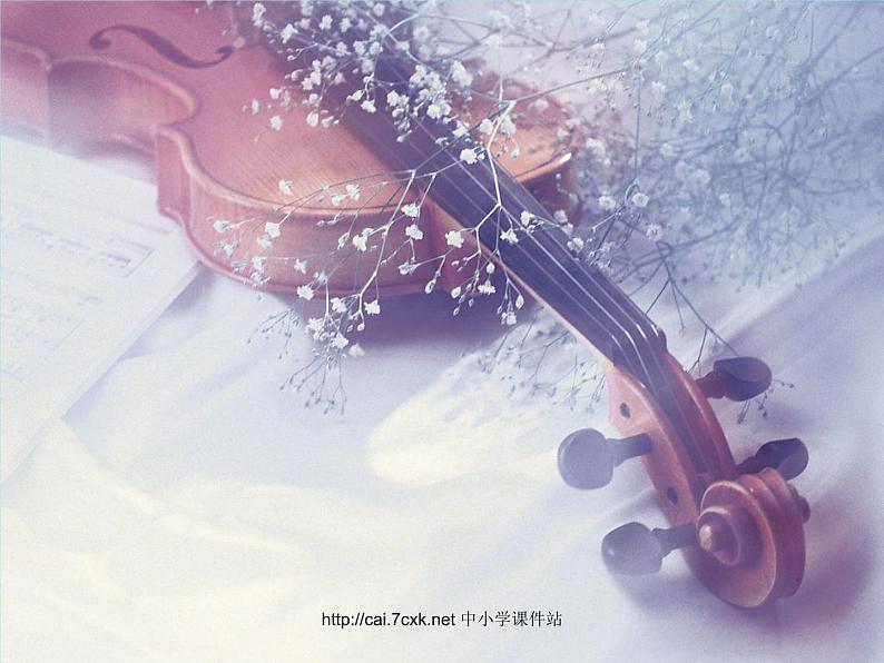 七年级音乐上册第6单元欣赏青少年管弦乐队指南课件1新人教版第7页