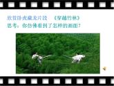 初中音乐人音版 七年级下册 穿越竹林 课件