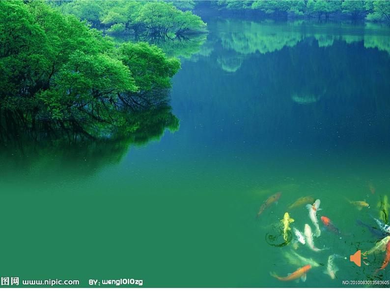 初中音乐人音版 八年级下册 A大调（鳟鱼）钢琴五重奏（第四乐章）1课件01