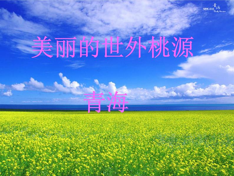 初中音乐人音版 八年级下册 花儿与少年2课件02