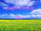 初中音乐人音版 八年级下册 花儿与少年2课件