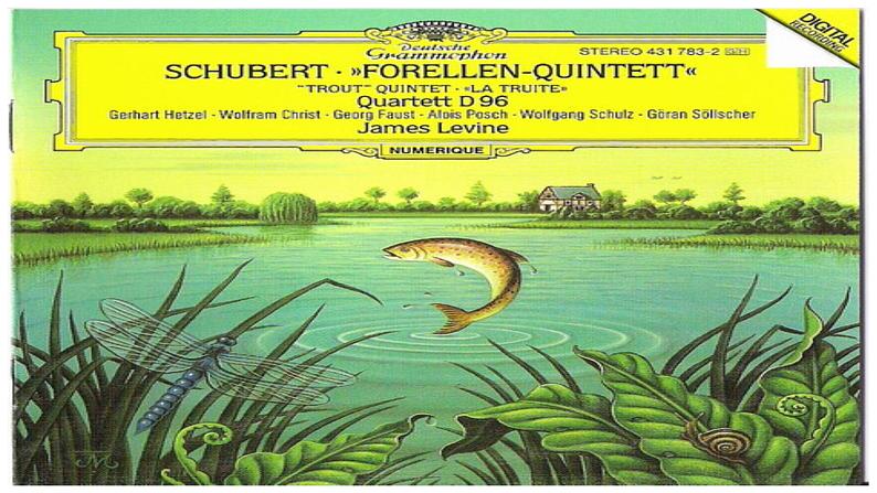 初中音乐人音版 八年级下册 鳟鱼课件08