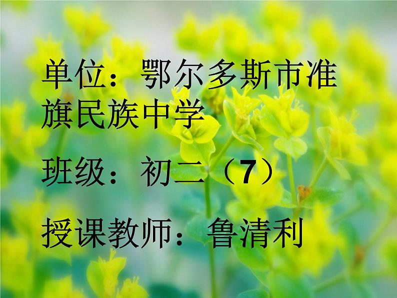 初中音乐人音版 八年级下册 花儿与少年1课件第1页