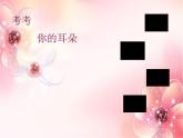 初中音乐 湘文艺课标版 七年级上册 雪绒花 美妙的人声 课件