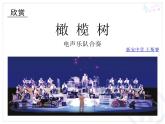 初中音乐 人教课标版（五线谱） 八年级上册 橄榄树 课件