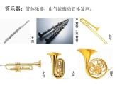 初中音乐 人教课标版（简谱） 七年级上册 青少年管弦乐队指南 西洋管弦乐队 课件