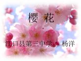 初中音乐 人教课标版（五线谱） 七年级上册 樱花 课件