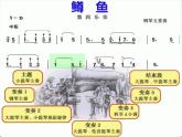 人音版八年级下册音乐课件  第二单元 欣赏 鳟鱼