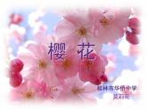 初中音乐 湘文艺版 八年级下册 《樱花》部优课件