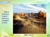 初中音乐 湘文艺版 八年级上册 举杯祝福部优课件