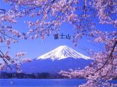 《樱花 》课件+教案 人音版八年级下册