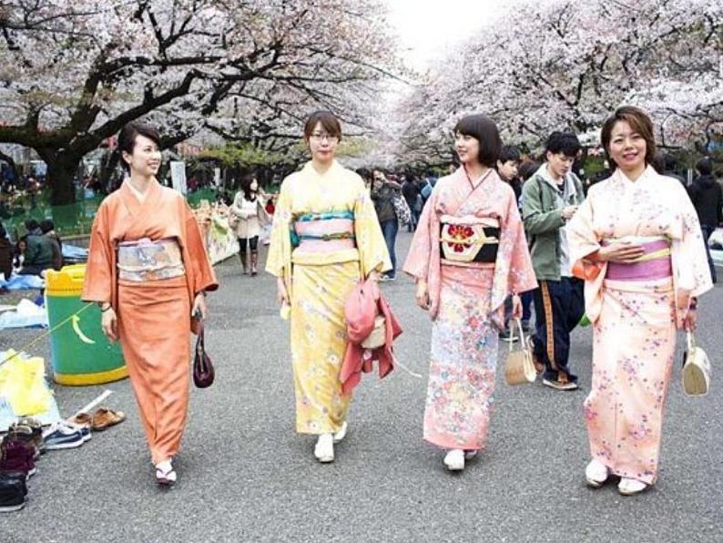 《樱花 》课件+教案 人音版八年级下册07