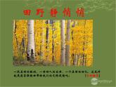 湘教版音乐九年级下册4田野静悄悄课件