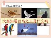 湘艺版八年级上册上音乐《百鸟朝凤》课件