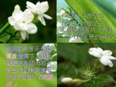 湘艺版9上音乐第二单元《石鼓》课件