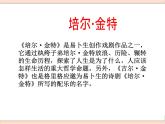 湘艺版9上音乐第五单元《阿尼特拉舞曲》课件
