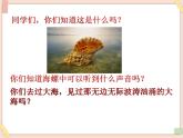 湘艺版9上音乐第五单元《大海与辛巴德的船》课件
