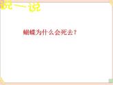 湘艺版9上音乐第六单元《阳光总在风雨后》课件