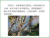 人教版7上音乐 1.1 蓓蕾之歌 课件