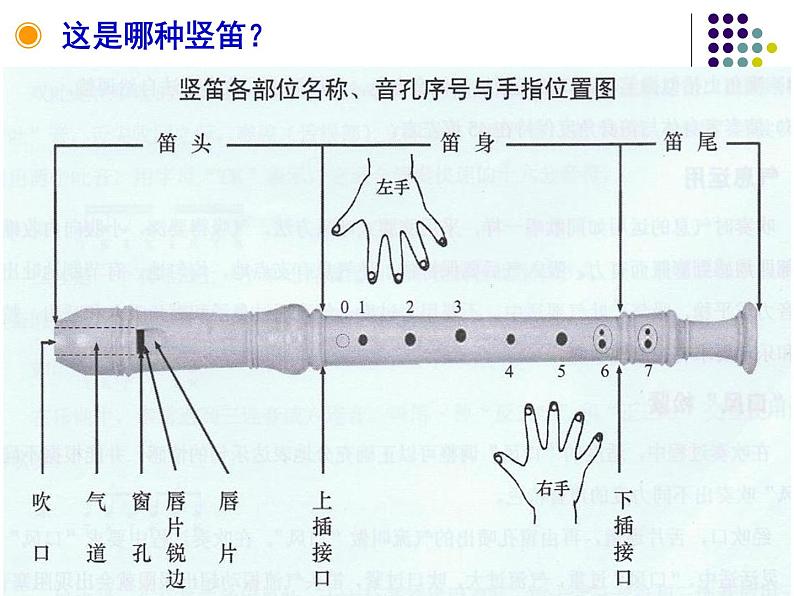 人教版七年级上册音乐课件  5.2学吹竖笛07