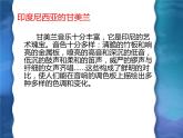 人教版七年級(jí)上冊(cè)音樂課件  5.2甘美蘭