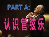 人教版七年级上册音乐课件  6.2查尔达什舞曲