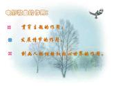 湘艺版音乐七年级上册  第二单元 雪绒花 课件