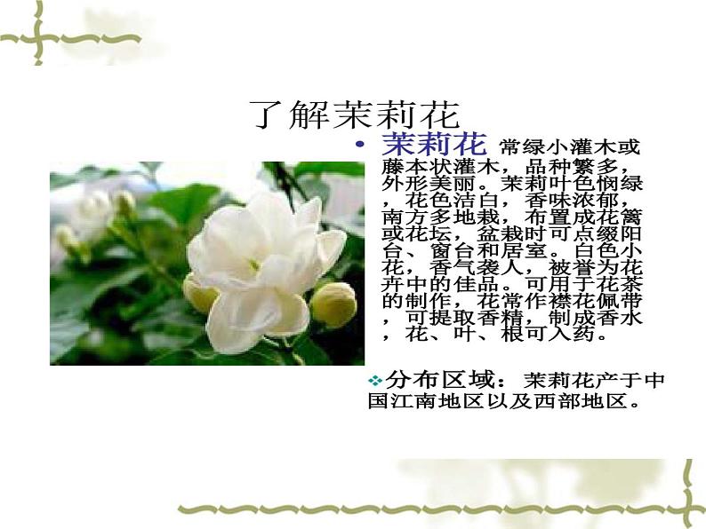 人音版初中音乐九年级上第一单元《茉莉花》课件02