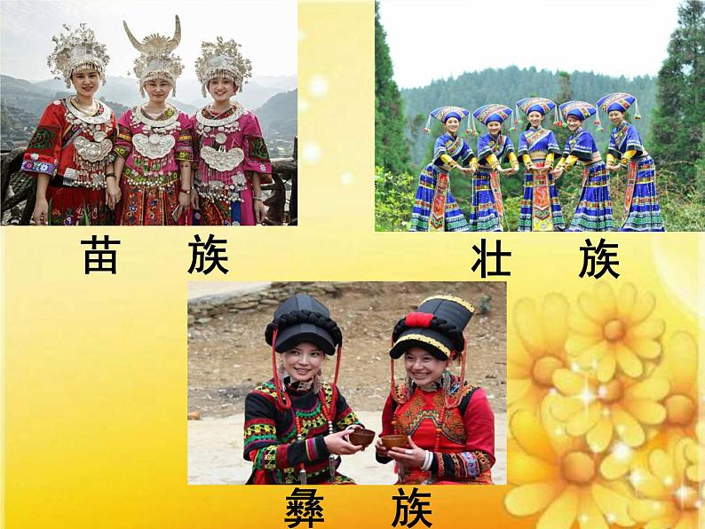 人音版音乐九上《远方的客人请你留下来》[李老师]【市一等奖】优质课1123 课件08