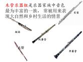 2.西洋管弦乐器 课件