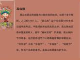 阿里山的姑娘 课件