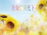 人教版七年級(jí)上冊(cè)音樂(lè)課件  2.4在燦爛陽(yáng)光下