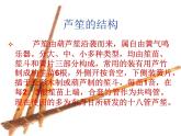 人教版七年級(jí)上冊(cè)音樂(lè)課件  5.3演奏