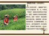 5.欣赏 采茶灯 课件