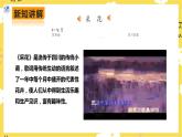 【人教版】八上音樂  第四單元第1課時《采花》（課件+教案+素材）