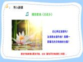 人音版音乐九年级上册  欣赏《第九（自新大陆）交响曲（第二乐章）》课件+教案